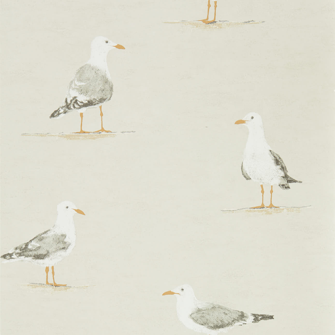 Port Isaac behang met Kust vogel 216563