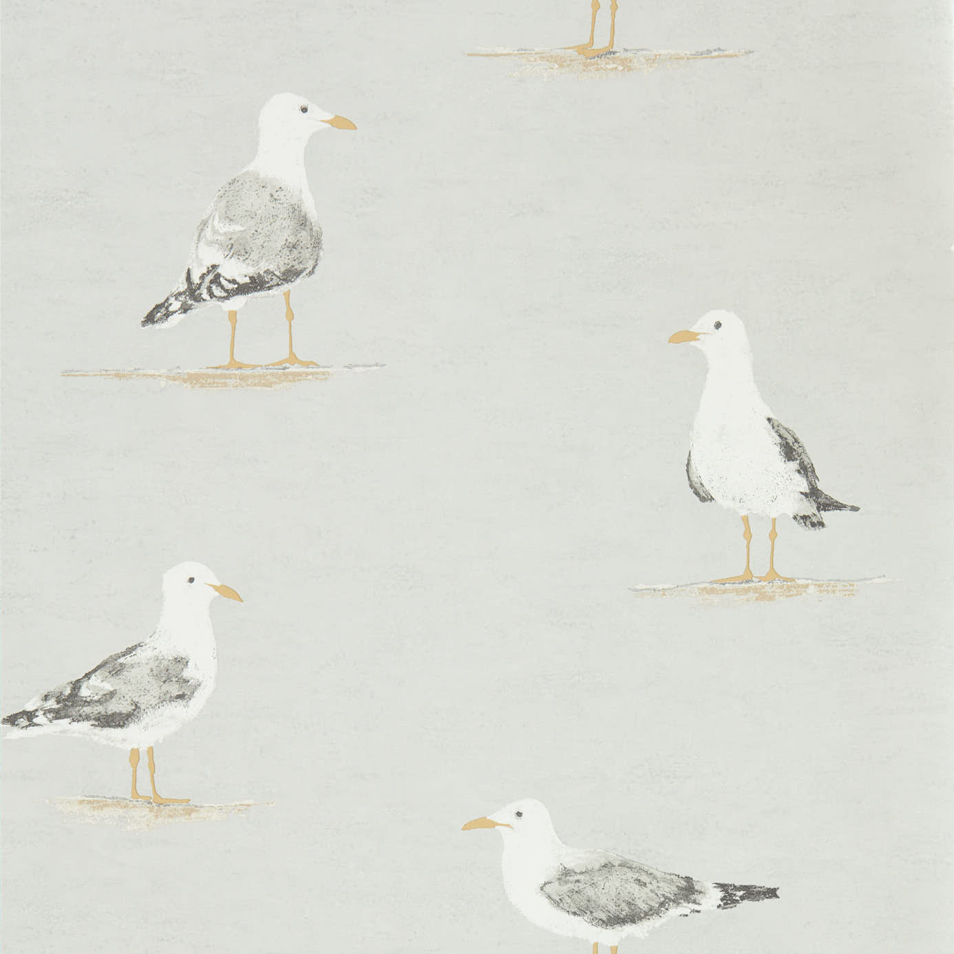 Port Isaac behang met Kust vogel 216565