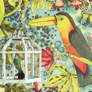 Wallpower Junior Fotowand Birds in Paradise Green  364121