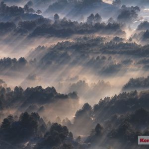 Komar Pure P029-VD3 Rays/Romantisch/Natuur/Bomen/Landschap Fotobehang Noordwand