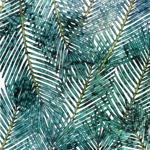 Komar Pure P025-VD2 Palm Canopy Lies/Bladeren/Modern/Botanisch Fotobehang Noordwand