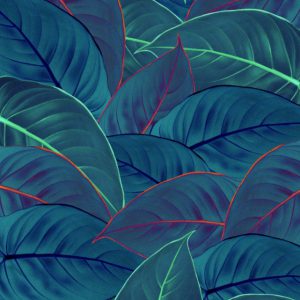 Komar Pure P026-VD2 Foliage/Bladeren/Botanisch/Modern Fotobehang Noordwand