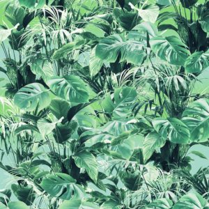 Komar Pure P023-VD2 Evergreen/Botanisch/Planten/Bladeren/Groen Fotobehang Noordwand