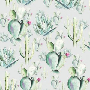 Komar Pure P045B-VD2 Cactus Grey/Botanisch/Natuurlijk/Planten Fotobehang- Noordwand