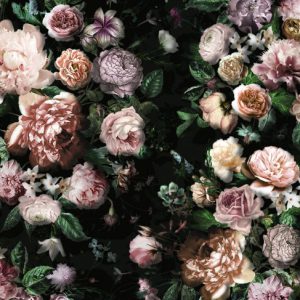 Komar Pure p6035a-vd4 Victoria Black/Botanisch/Bloemen Fotobehang-Noordwand Komar Pure p6035a-vd4 Victoria Black/Botanisch/Bloemen Fotobehang-Noordwand