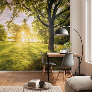 Komar Pure PSH054-VD4 Golden Moment/Park/Natuur/Landschap/Zonlicht Fotobehang Noordwand