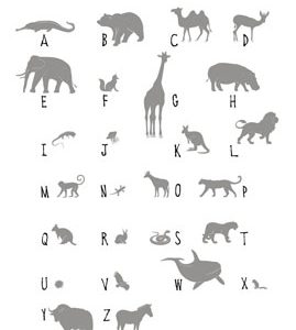 Esta Let s Play fotobehang met dieren ABC 158923