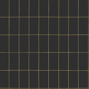 Esta Black&White behang ruitjes zwart/wit 139032