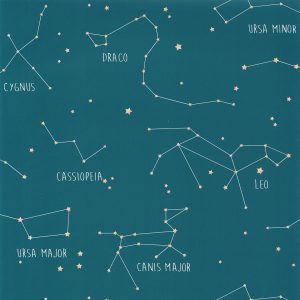 Caselio behang Our Planet