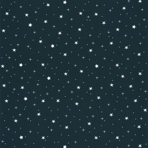 Caselio behang Our Planet sterretjes