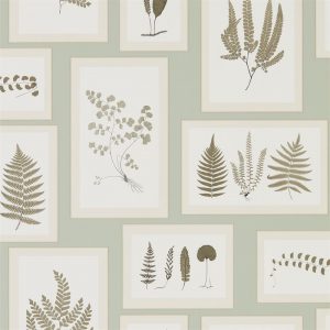 Sanderson behang woodland Fern Gallerie Blue
