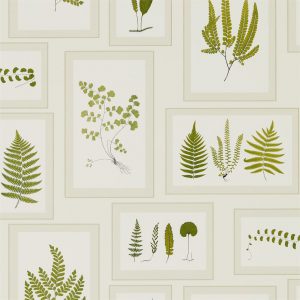 Sanderson behang Woodland Fern Gallerie Green