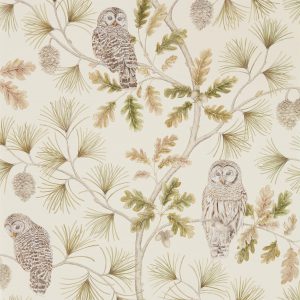Sanderson behang Elysian Owlswick Teal/Uiltjes