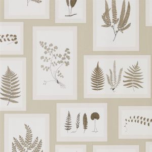 Sanderson behang Woodland Fern Gallery