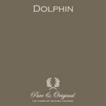 pure-original_Dolphin