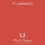pure-original_Flamingo