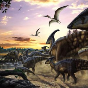 Fotobehang komar into adventure