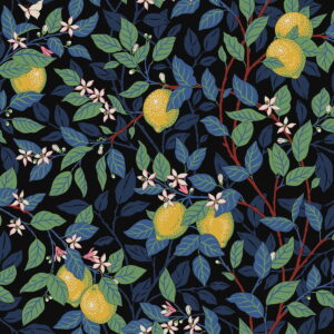 Boras tapeter behang Orangeri 5703
