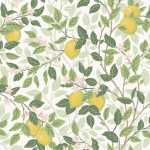 Boras tapeter behang Orangeri 5702