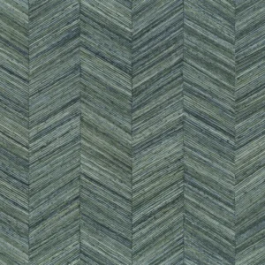 Casamance végétal Ocotea